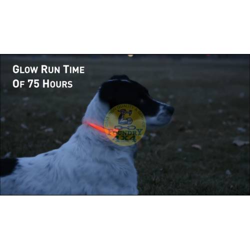 Nite glow dog collar best sale